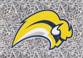 NHL Team Crest Licenced Stickers - Singles