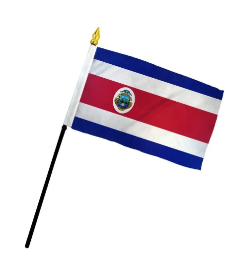 Mini Flags
